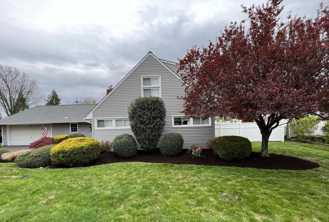 Shaped shrubs and ornamental tree in a front yard