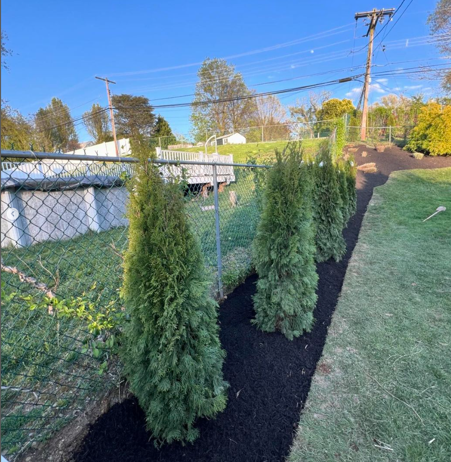 Clean, mulched fence line with new plantings after Yard Boys transformation