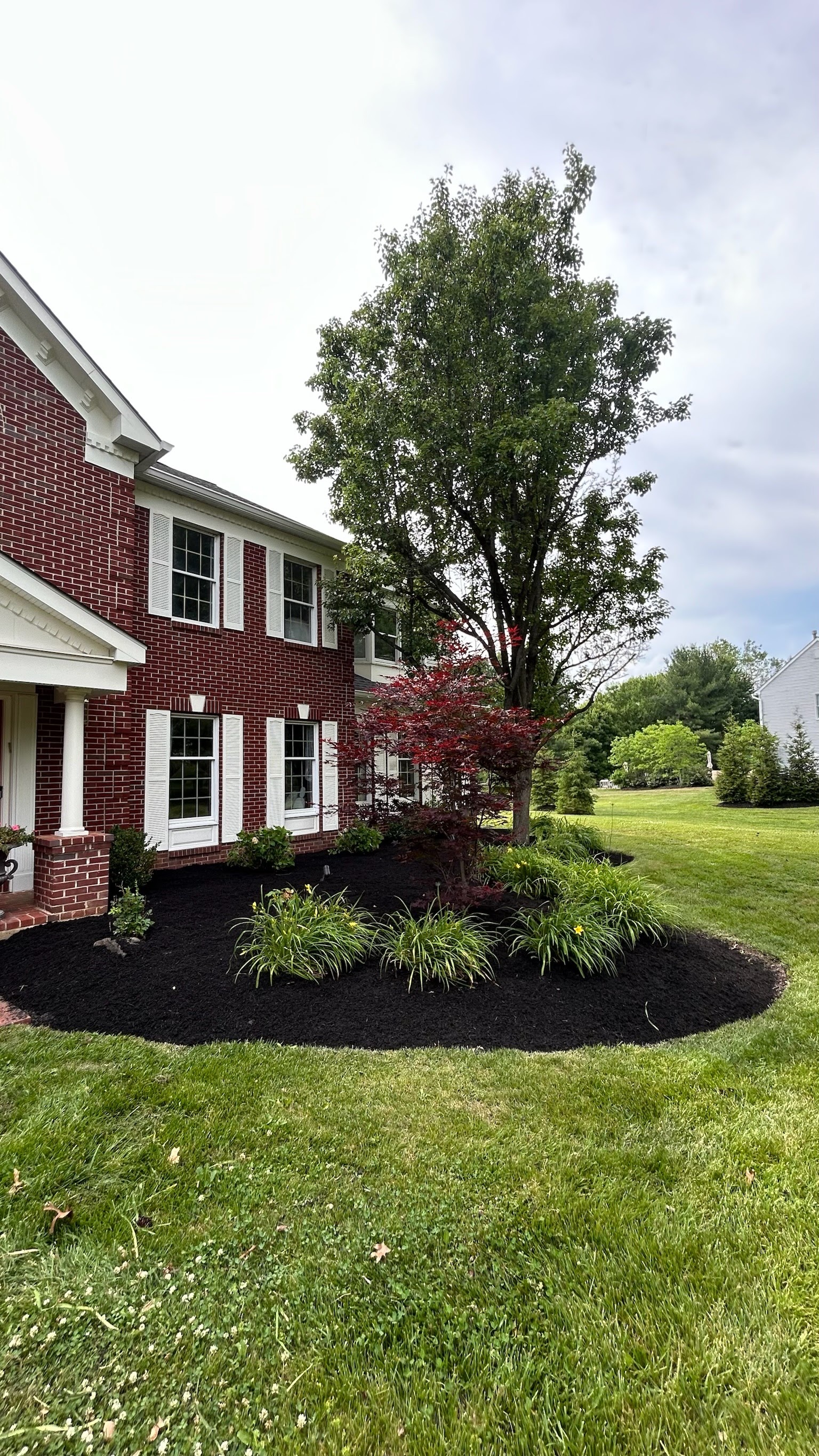 Completed front yard landscaping project