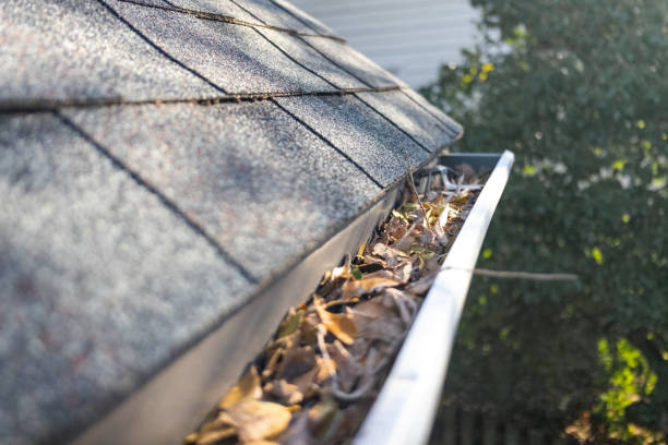 Gutter Work