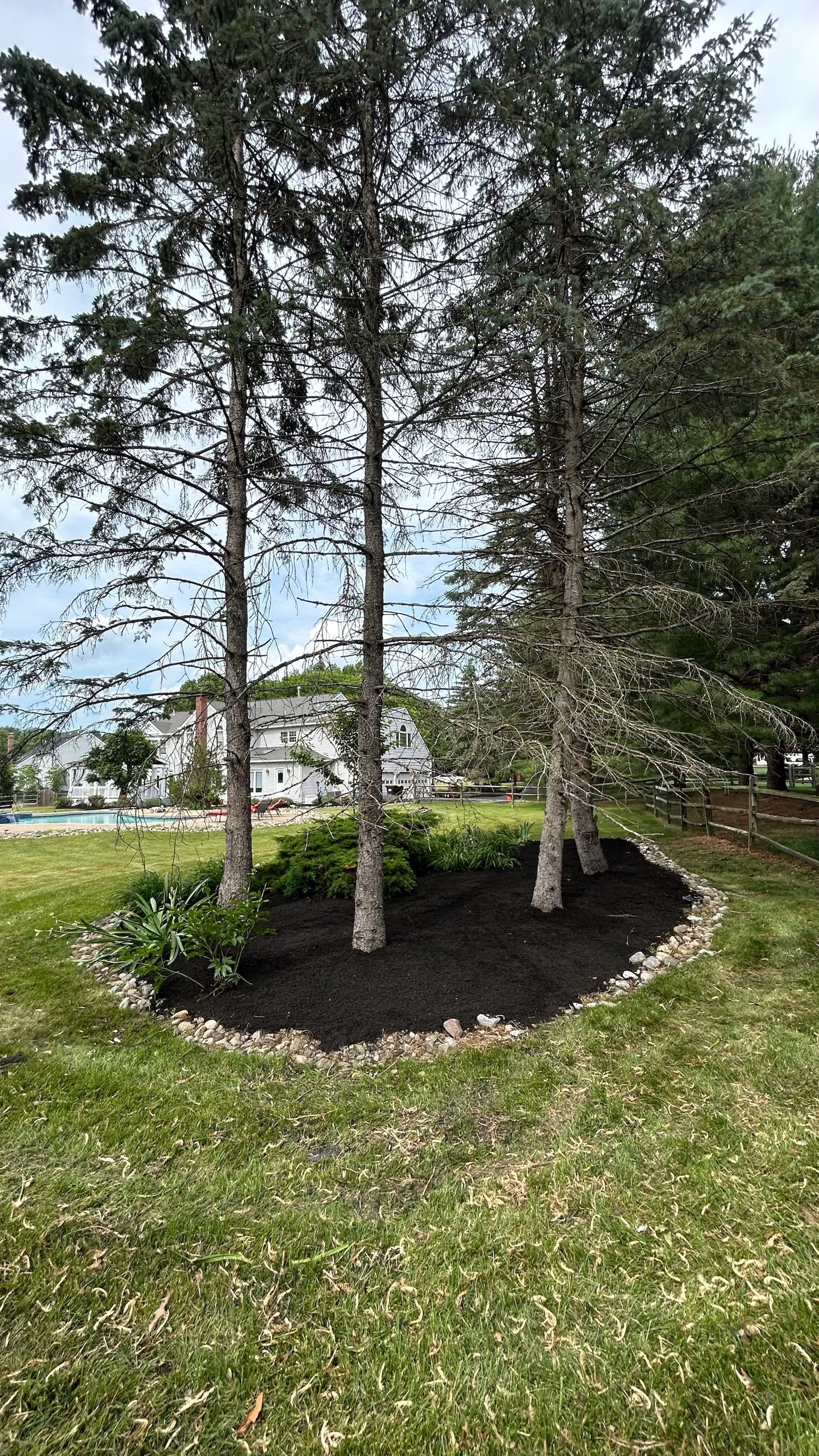 Island mulch bed installation in front yard
