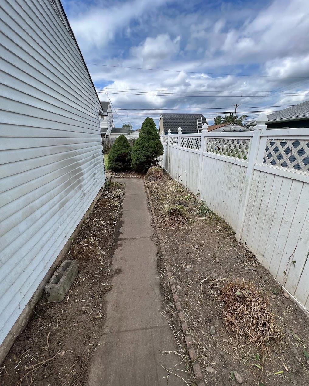 Land Clearing & Overgrowth Removal — after Yard Boys cleanup
