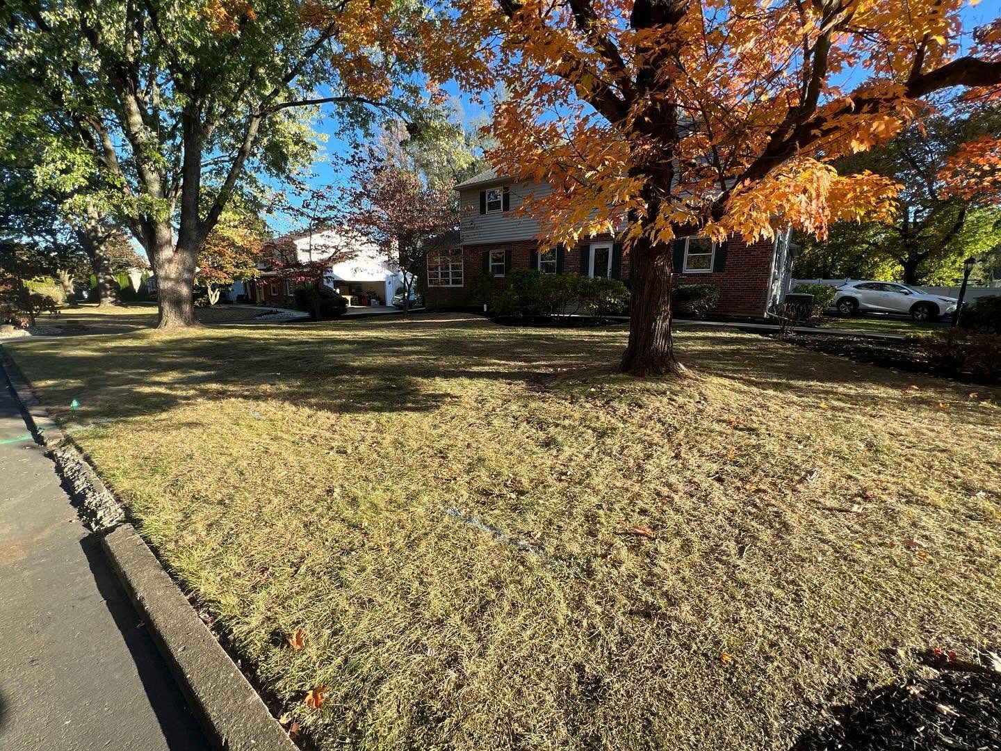 Front lawn cleared of fall leaves under an orange maple