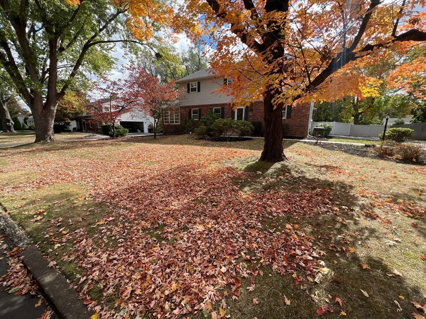 Fall leaf cleanup, before Yard Boys