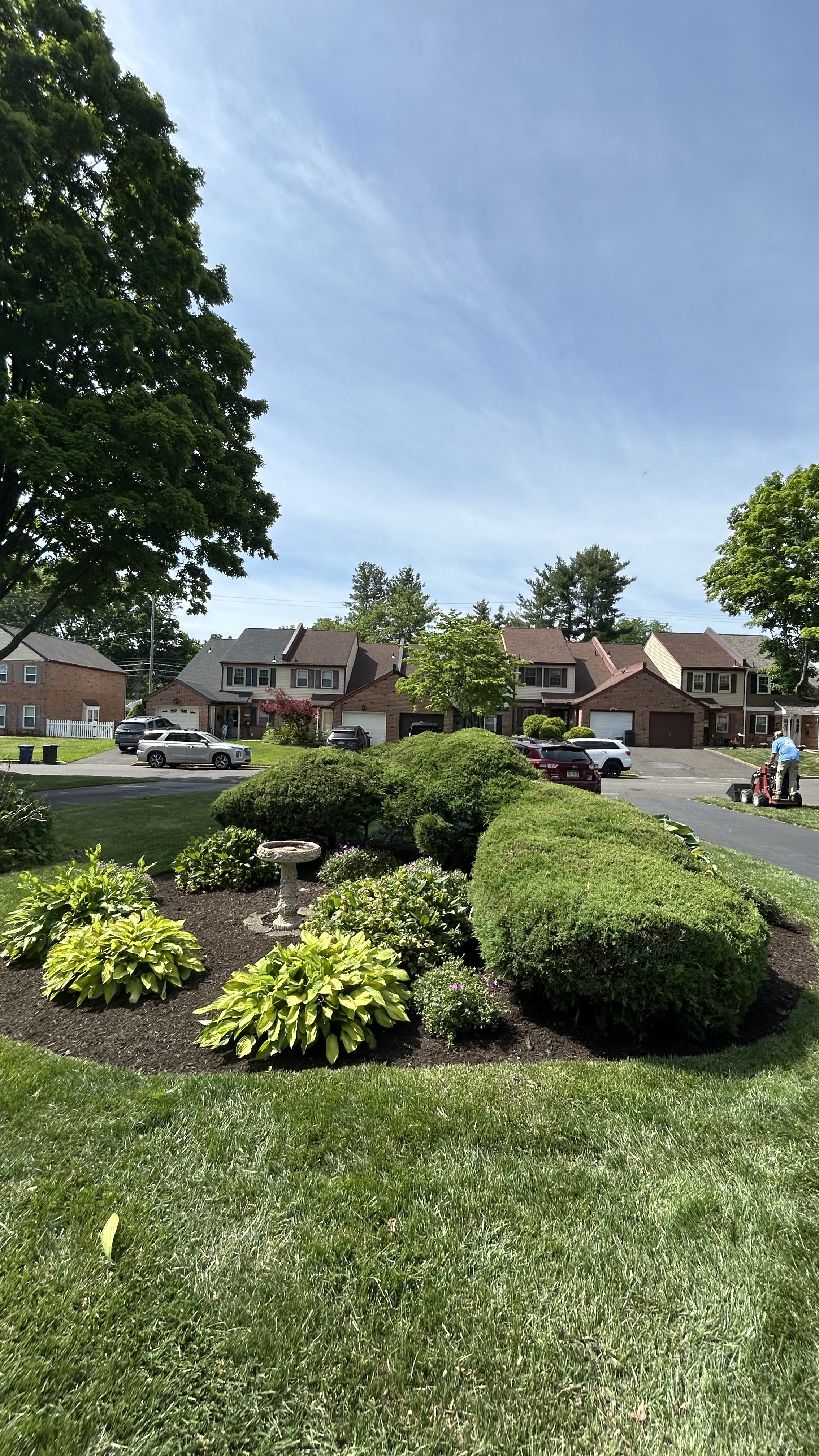 Fresh mulch installation with trimmed bushes