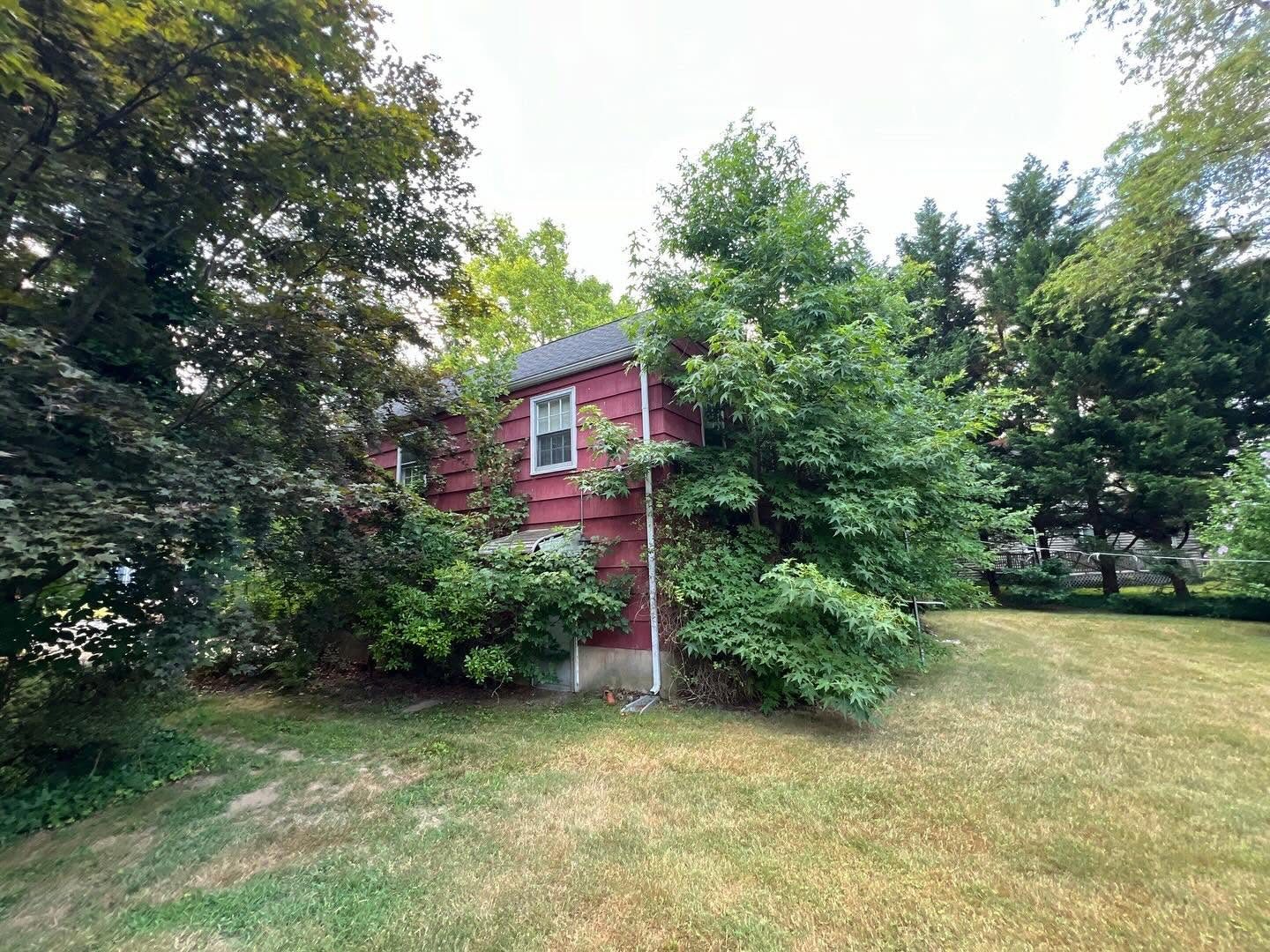 Overgrowth cleared off the house, before Yard Boys