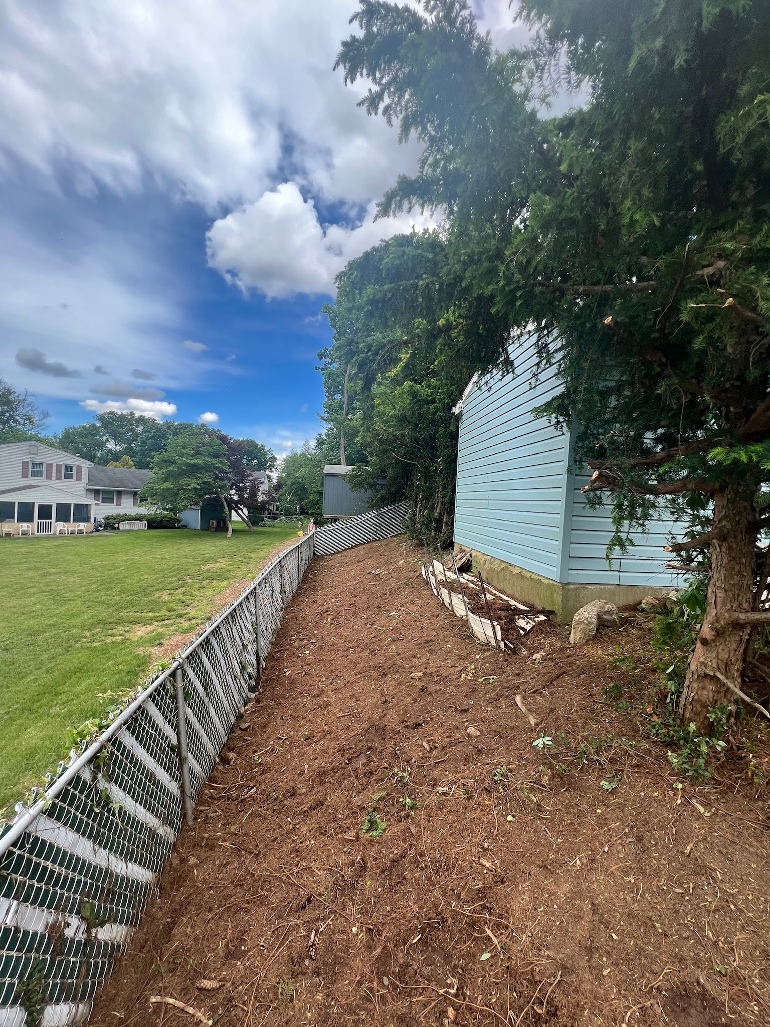 Clean, maintained property after Yard Boys overgrowth removal