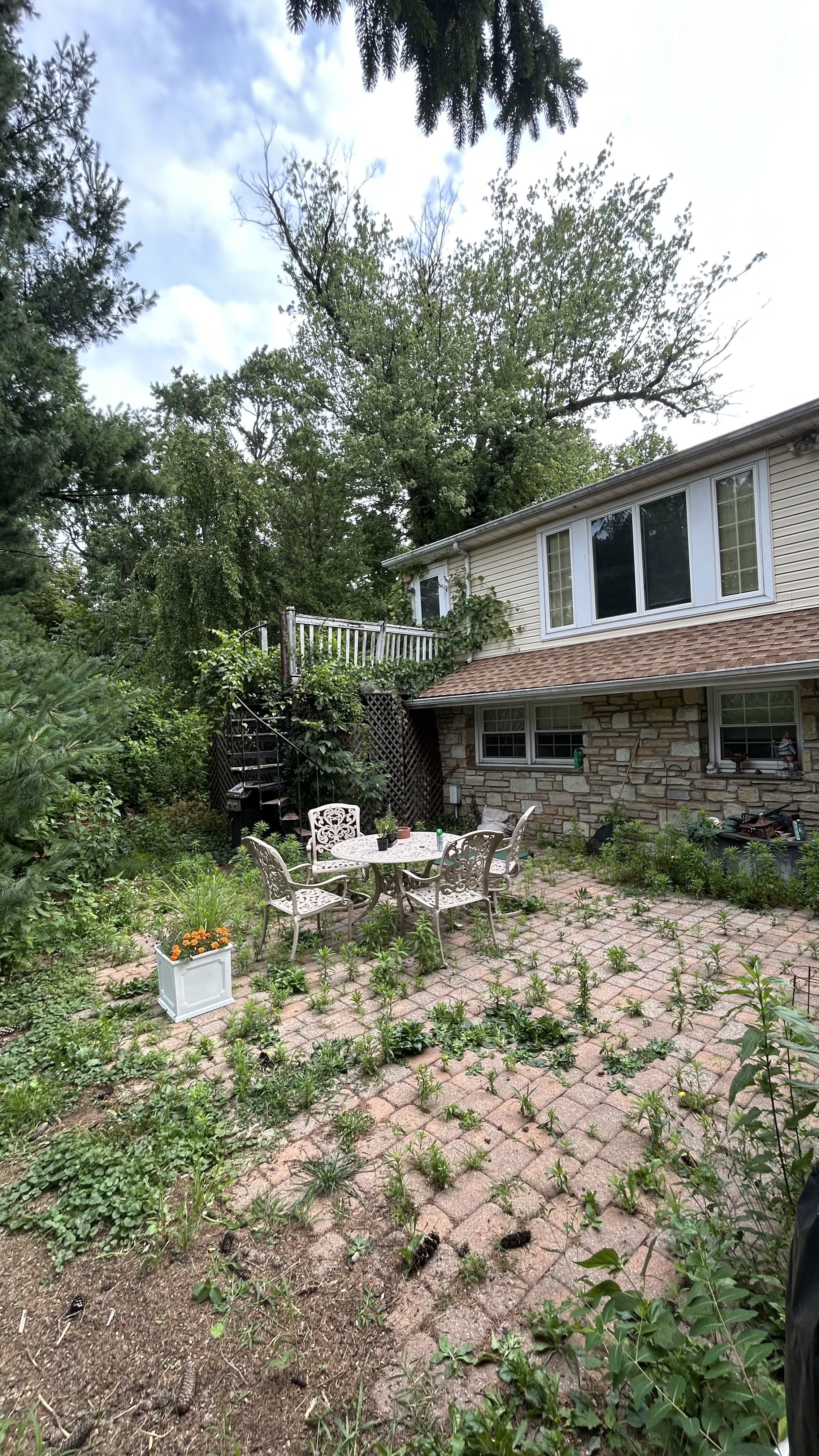 Patio area overgrown with weeds and debris before Yard Boys cleanup