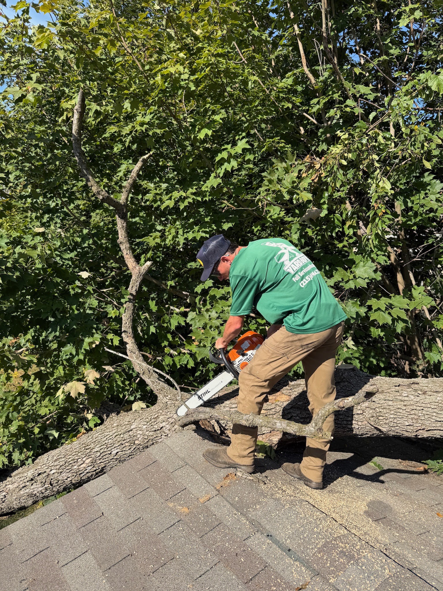 Emergency tree removal from residential roof